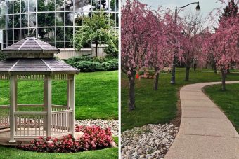 Best Romantic Proposal Spots in London That Locals Actually Recommend