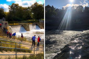 Best Places Near London to Watch Salmon Migration This Fall