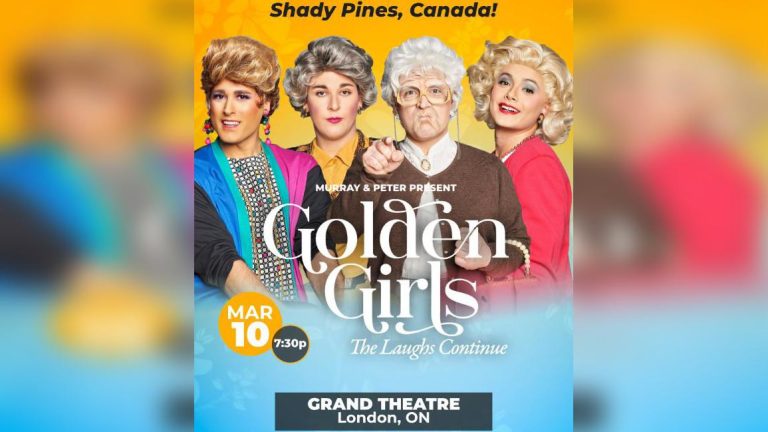 GOLDEN GIRLS THE LAUGHS CONTINUE